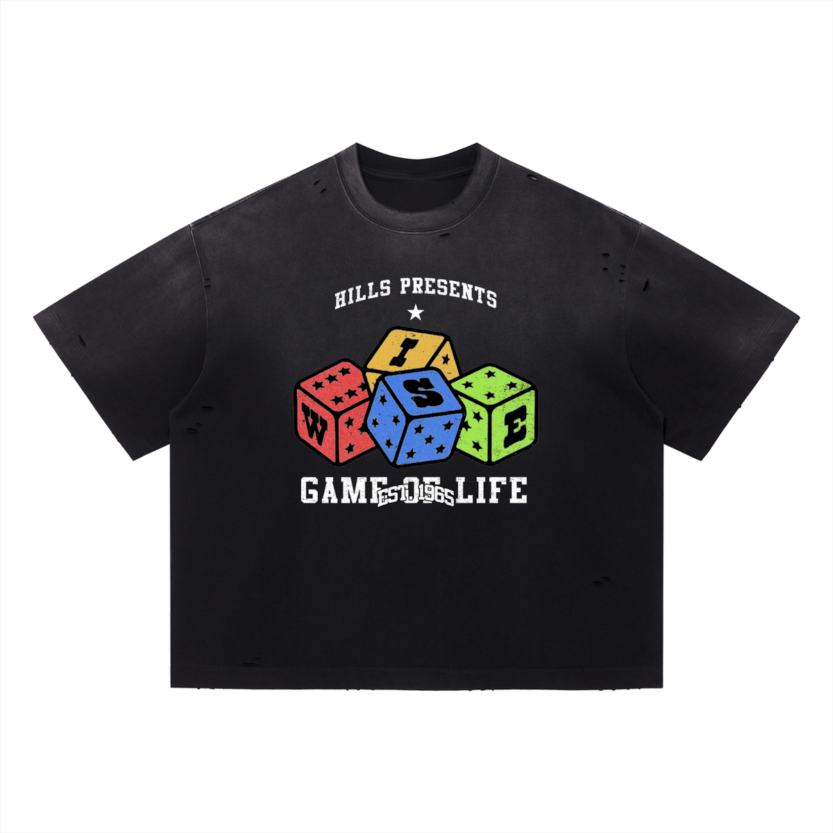 "Game of Life" Vintage Boxy Oversized T-Shirt